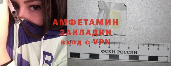 сатива Новозыбков