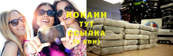 амф Няндома