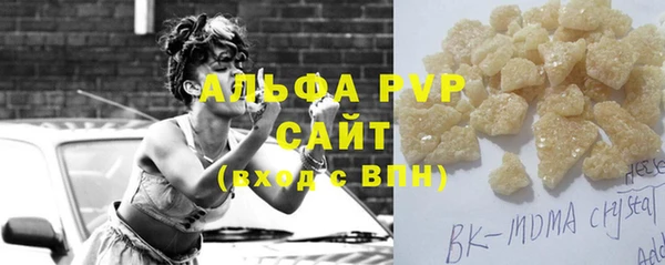 сатива Новозыбков