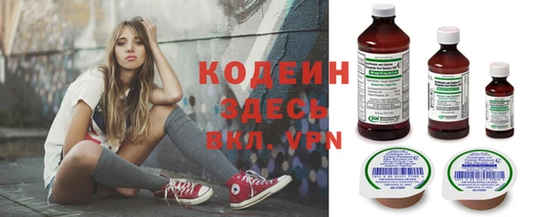 сатива Новозыбков