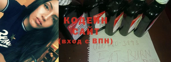 дмт Новодвинск