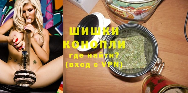 дмт Новодвинск