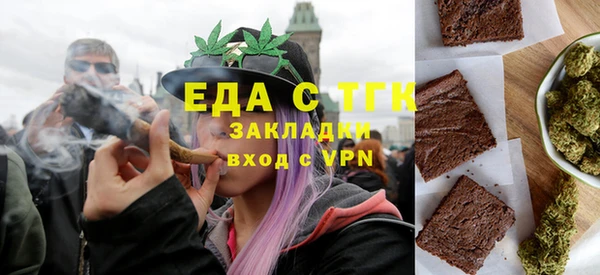 сатива Новозыбков
