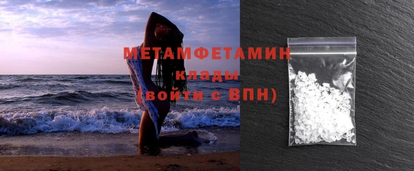сатива Новозыбков