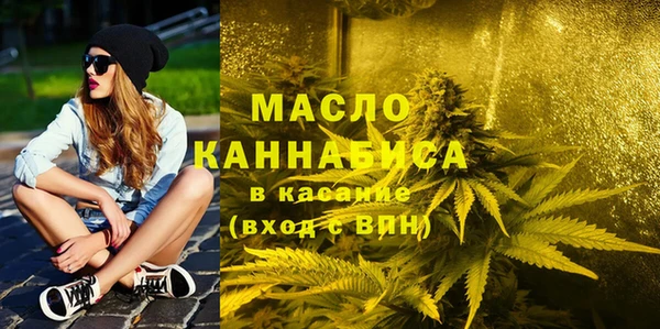 сатива Новозыбков