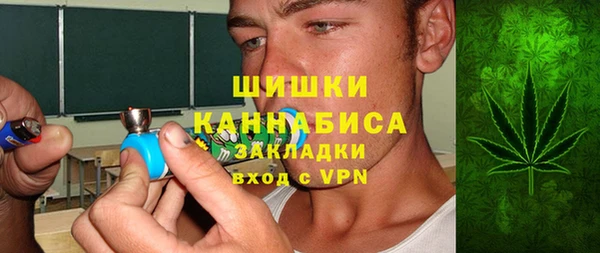 амф Няндома
