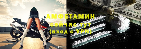 сатива Новозыбков