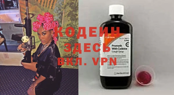 сатива Новозыбков