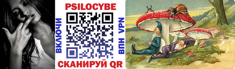 Псилоцибиновые грибы Psilocybe Туапсе