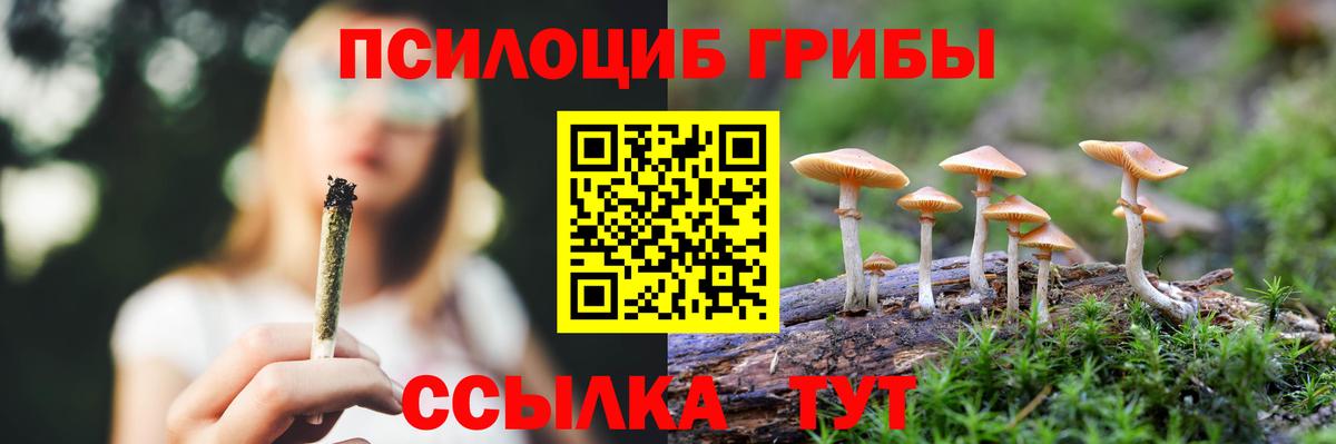 Псилоцибиновые грибы прущие грибы Туапсе